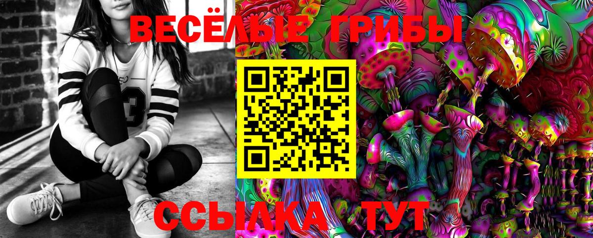 Боровичи  где найти наркотики  Вход с VPN  Галлюциногенные грибы Cubensis  Псилоцибиновые грибы Cubensis 